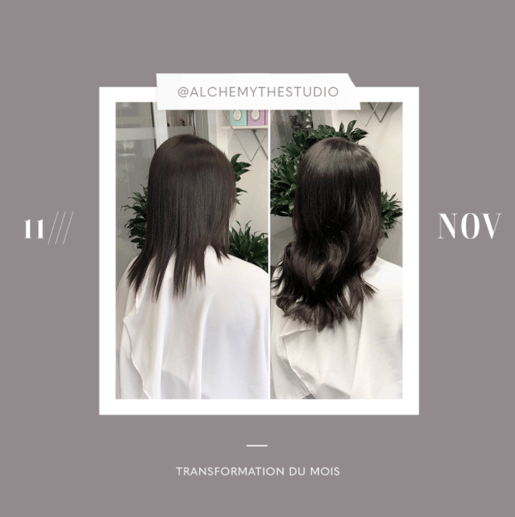 transformation des extensions de cheveux du mois: novembre