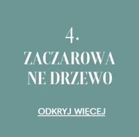 zaczarowa ne drzewo