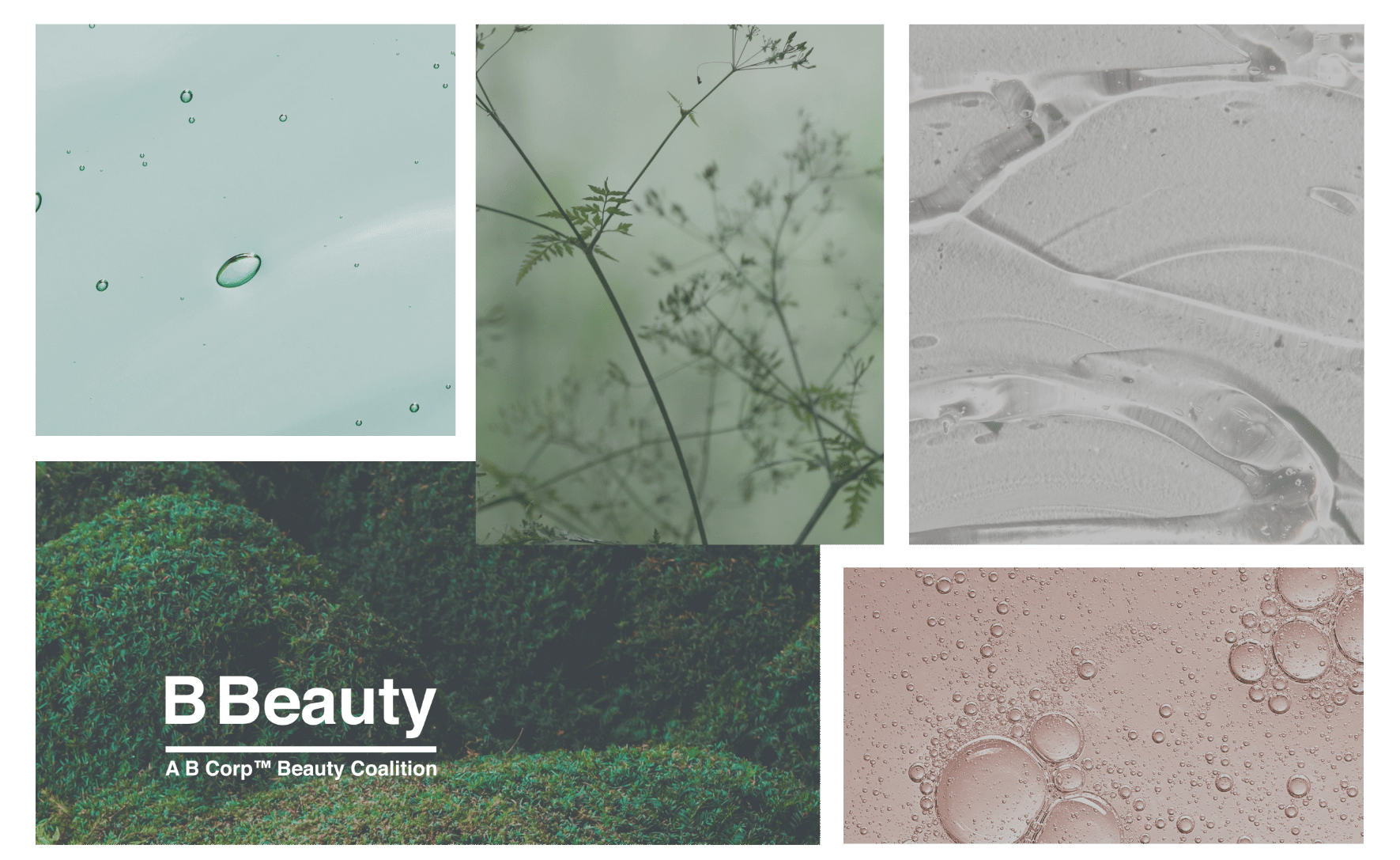 Asset Blog Beauty coalition2