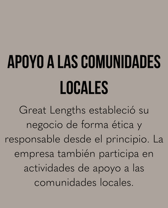 Copia di Copia di Qualité Premium Nos cheveux Remy vierges sont délicatement traités, soigneusement mélangés et préservés, durables, traçables et doux au toucher-4