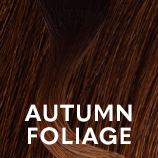 fashion shade autumn foliage