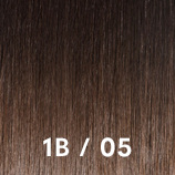 Bronde shades 1b05